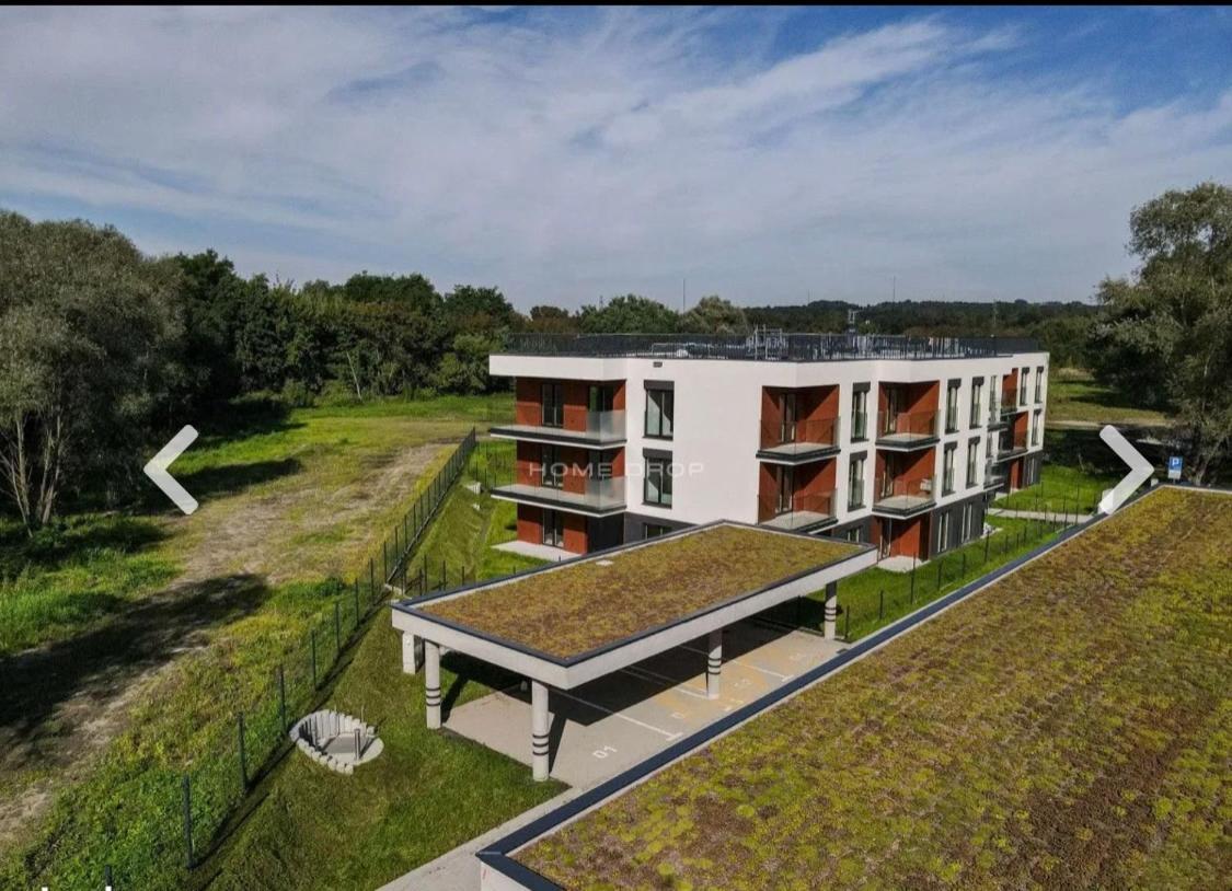 Natura Luxury Apartment 克拉科夫 外观 照片